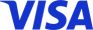 Visa payment icon